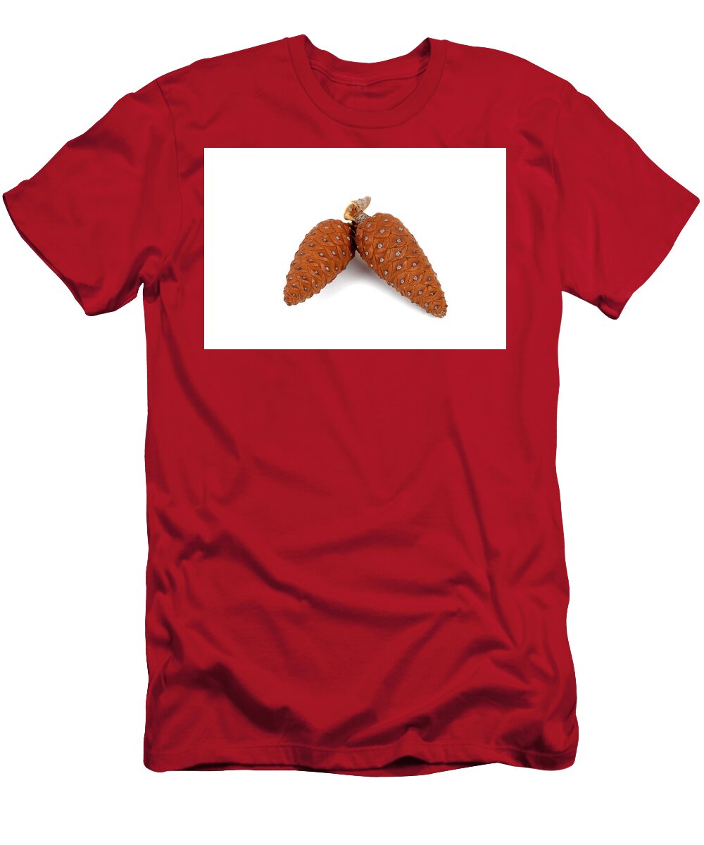 Two Pine Cones Liss Art Studio T-Shirt