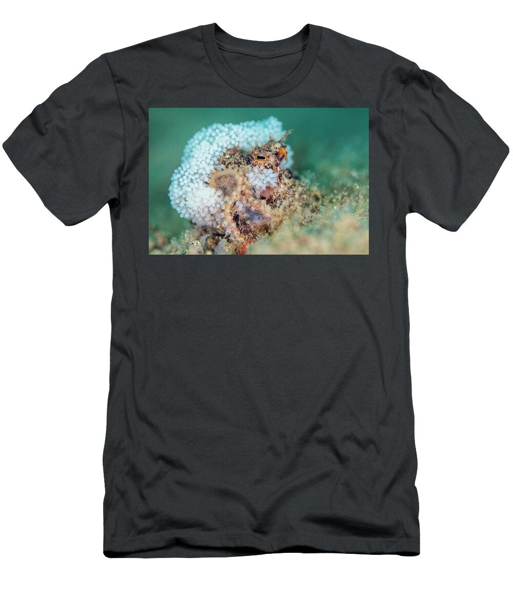 Veined Octopus Female Carrying Her Clutch of Eggs Anilao Alex Mustard Natureplcom T-Shirt