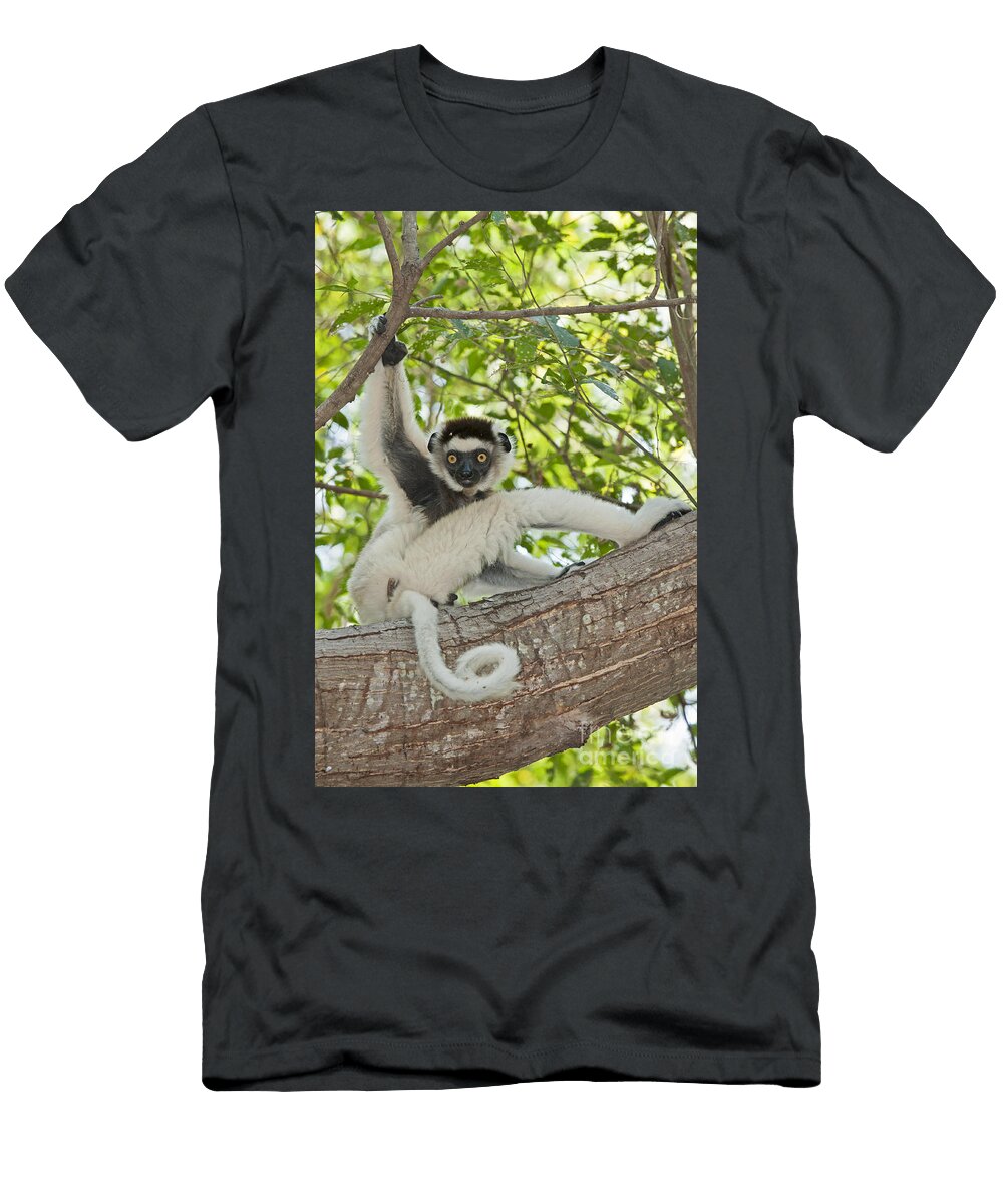 Verreauxs Sifaka Tony Camacho T-Shirt
