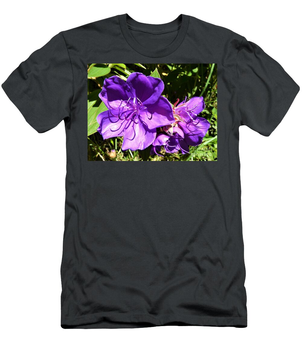 Vibrance Cat Pancake T-Shirt