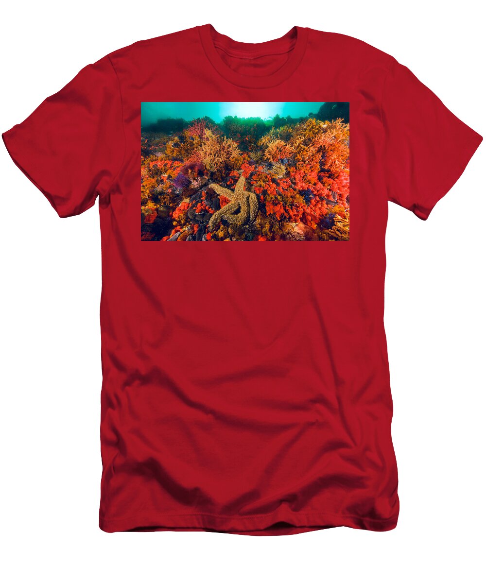 Vibrant Coral Reef Scene Mario Chow T-Shirt