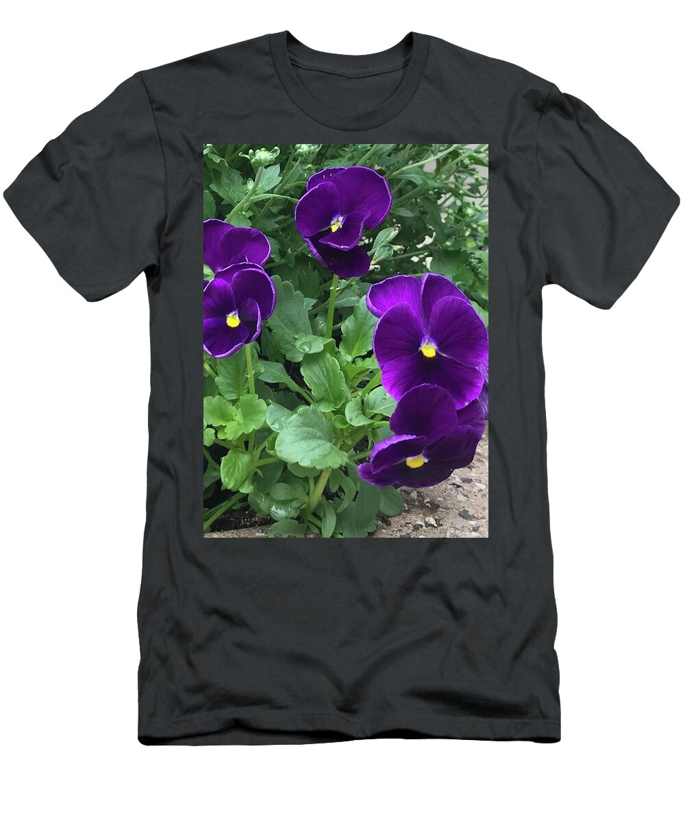 Vibrant Purple Pansies LA Veta Kirby T-Shirt