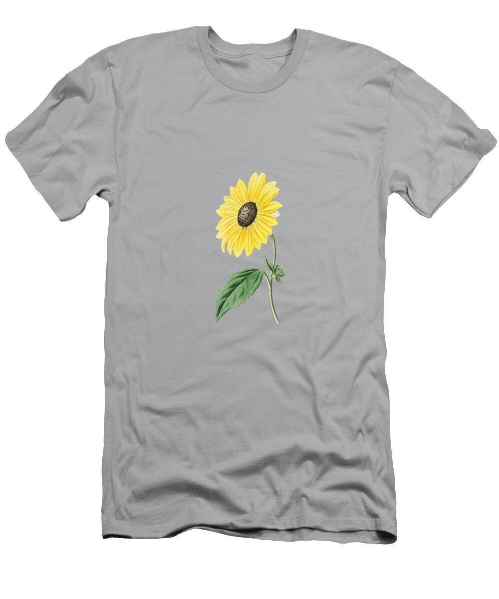 Vintage California Sunflower Botanical Illustration on Pure White Holy Rock Design T-Shirt