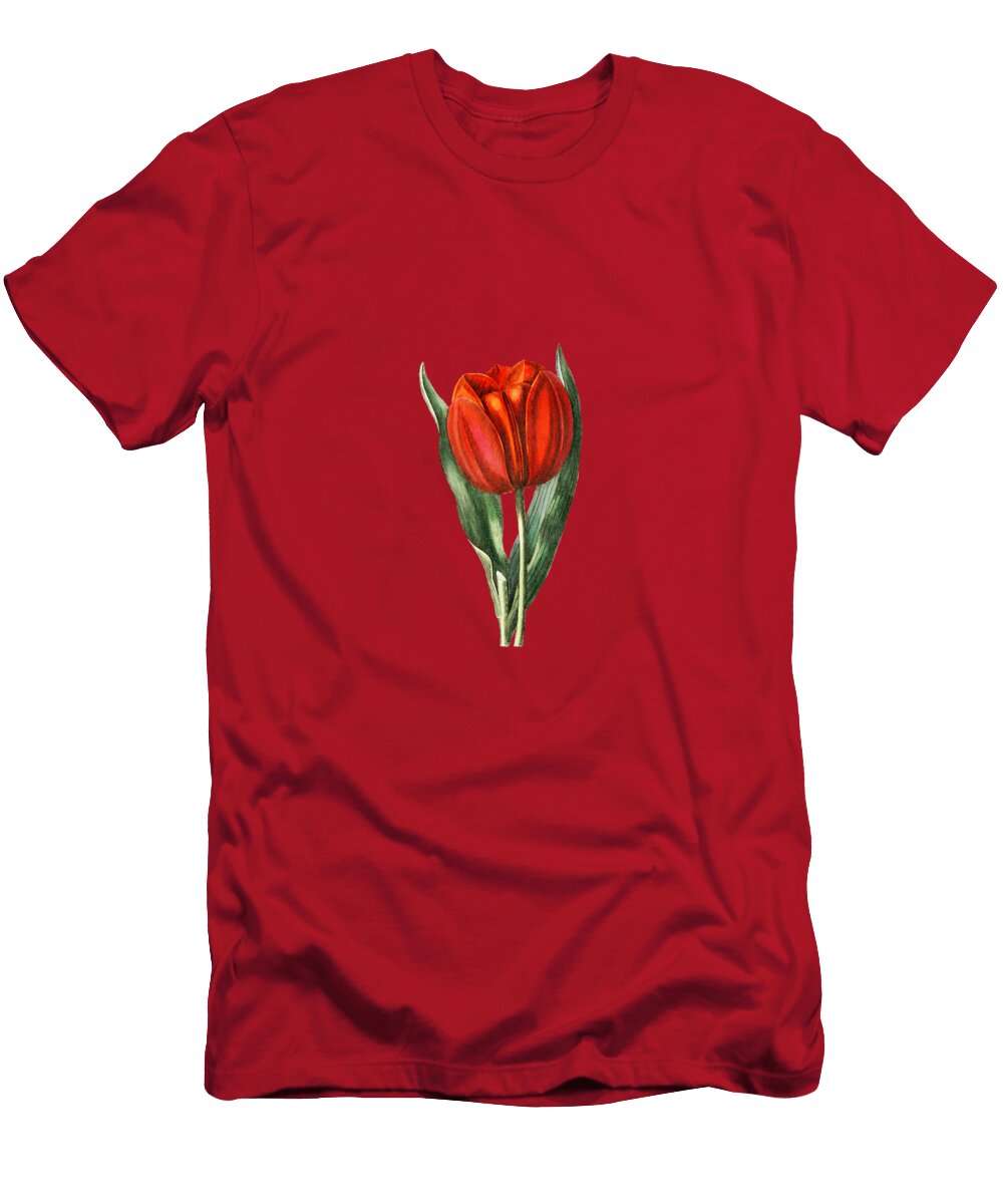 Vintage Gesners Tulip Branch Botanical Illustration on Pure White Holy Rock Design T-Shirt