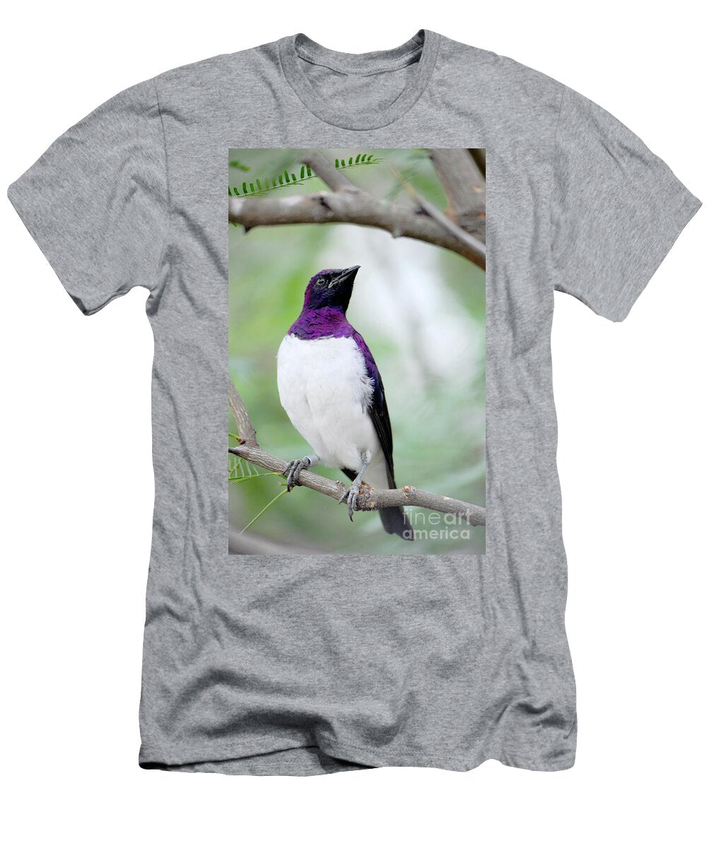 Violet Backed Starling Starling with a Violet Back Gunther Allen T-Shirt