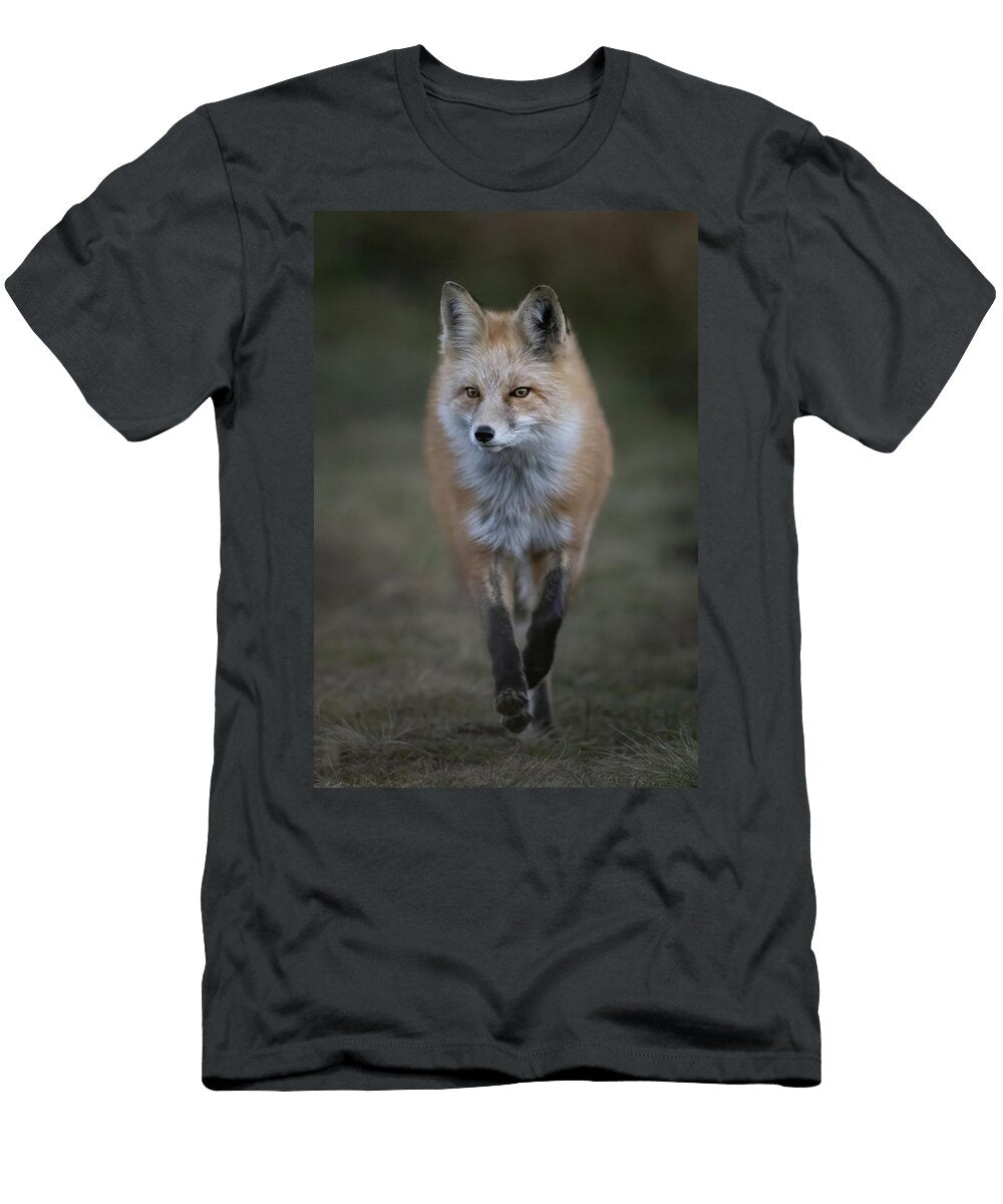 Vixen Julie Argyle T-Shirt
