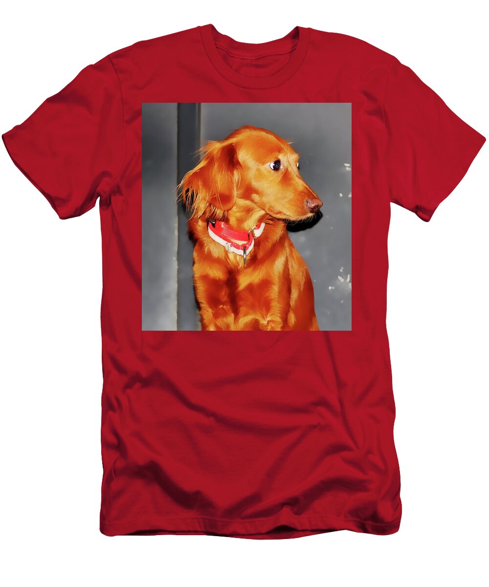 Waffles Vanessa Hanley T-Shirt