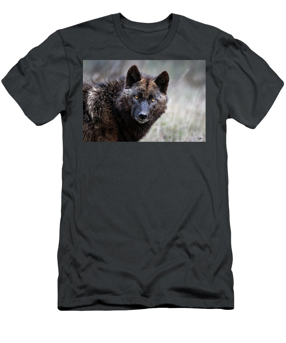 Wapiti Black Julie Argyle T-Shirt