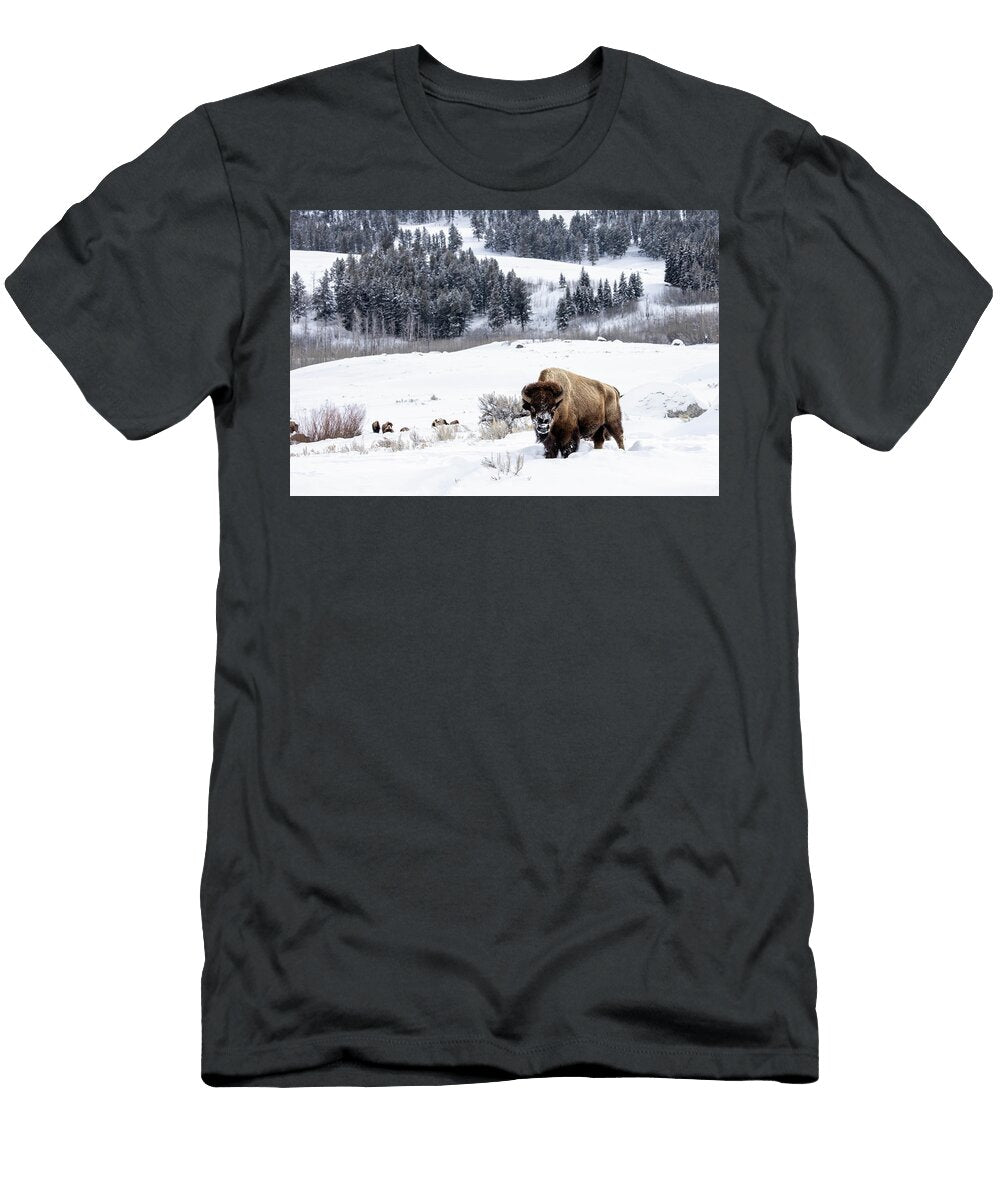Warrior Kinf Julie Argyle T-Shirt