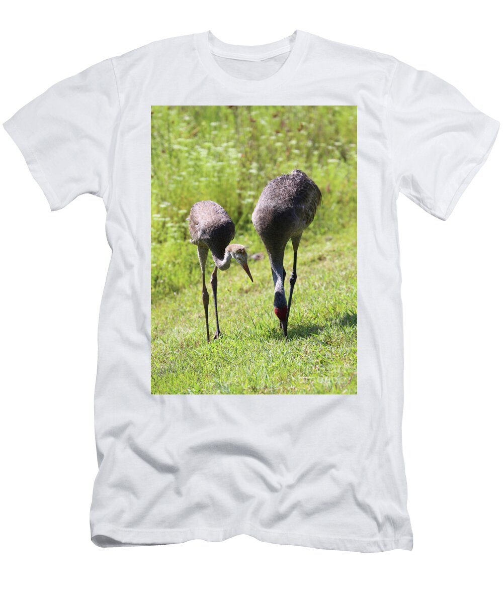 Watchful Sandhill Carol Groenen T-Shirt
