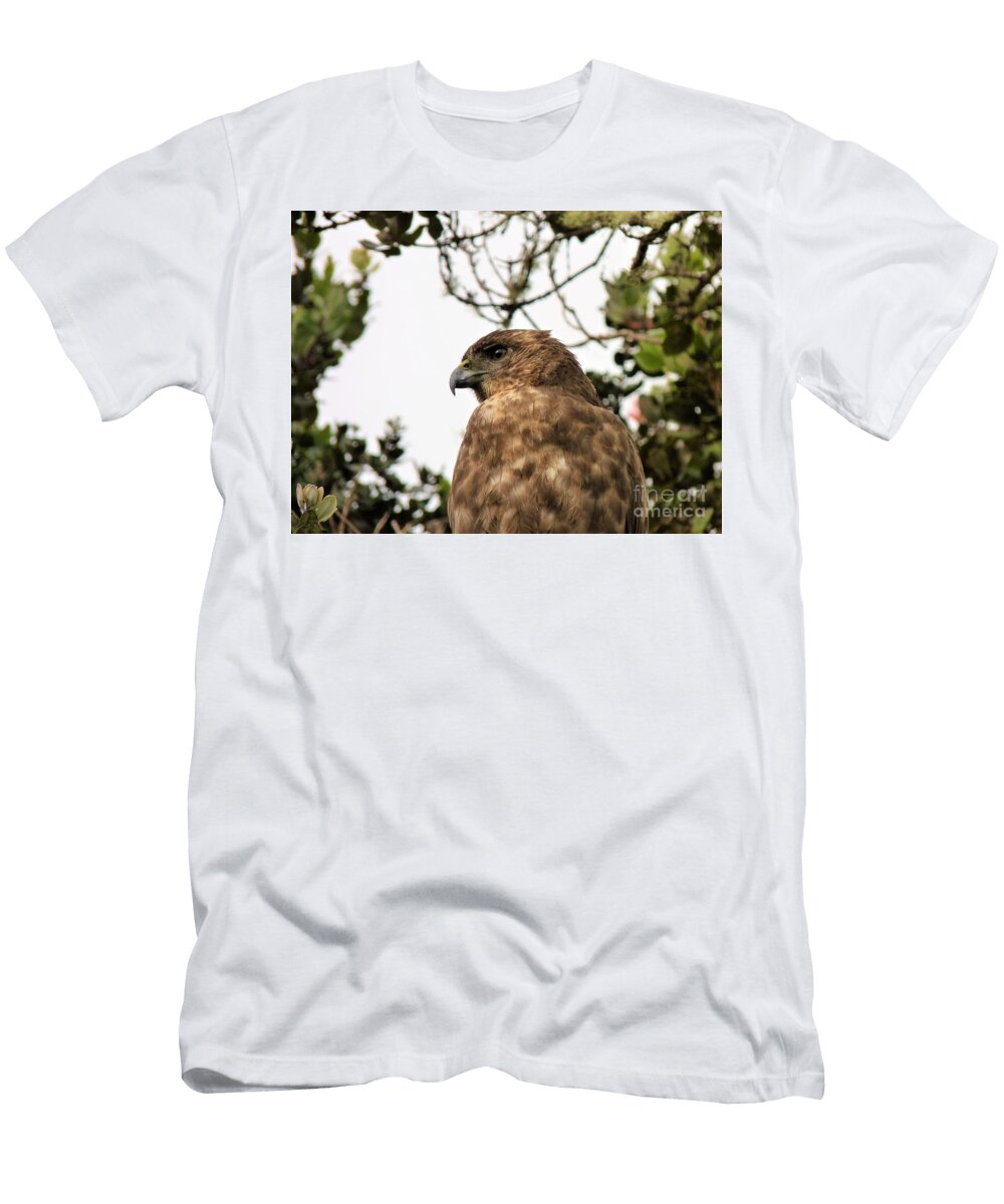 Watching It All Cat Pancake T-Shirt