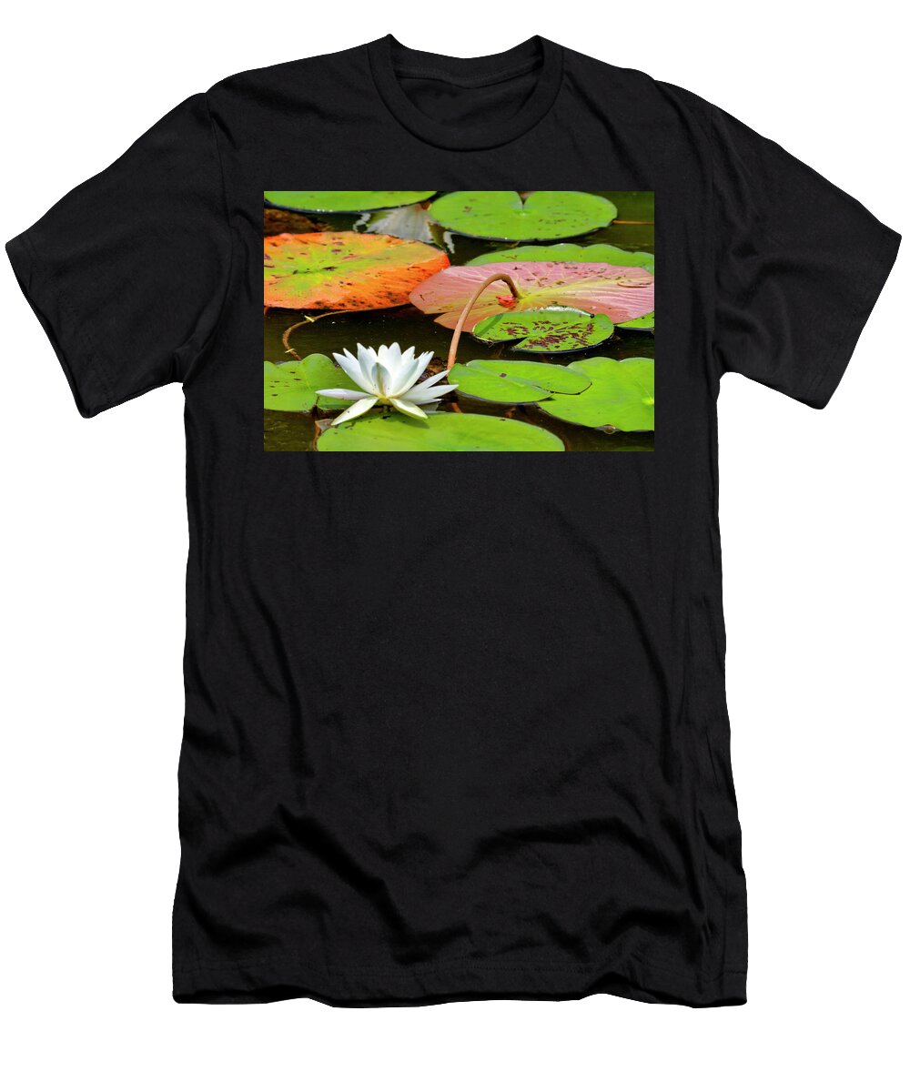 Water Lily At Ringwood Manor in Ringwood New Jersey Geraldine Scull T-Shirt