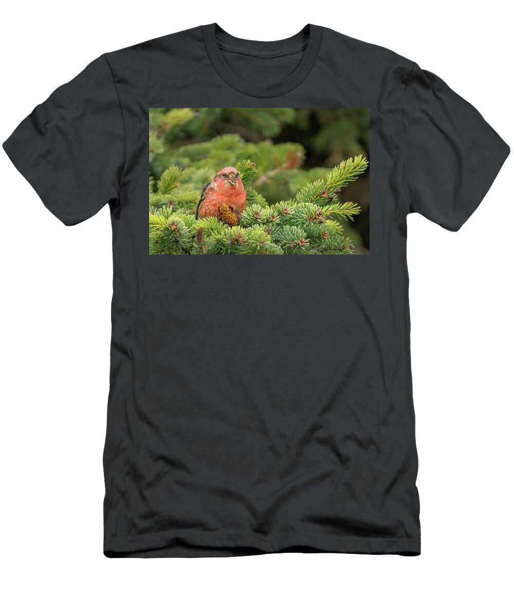 White Winged Crossbill Clutching Cone Nancy Gleason T-Shirt