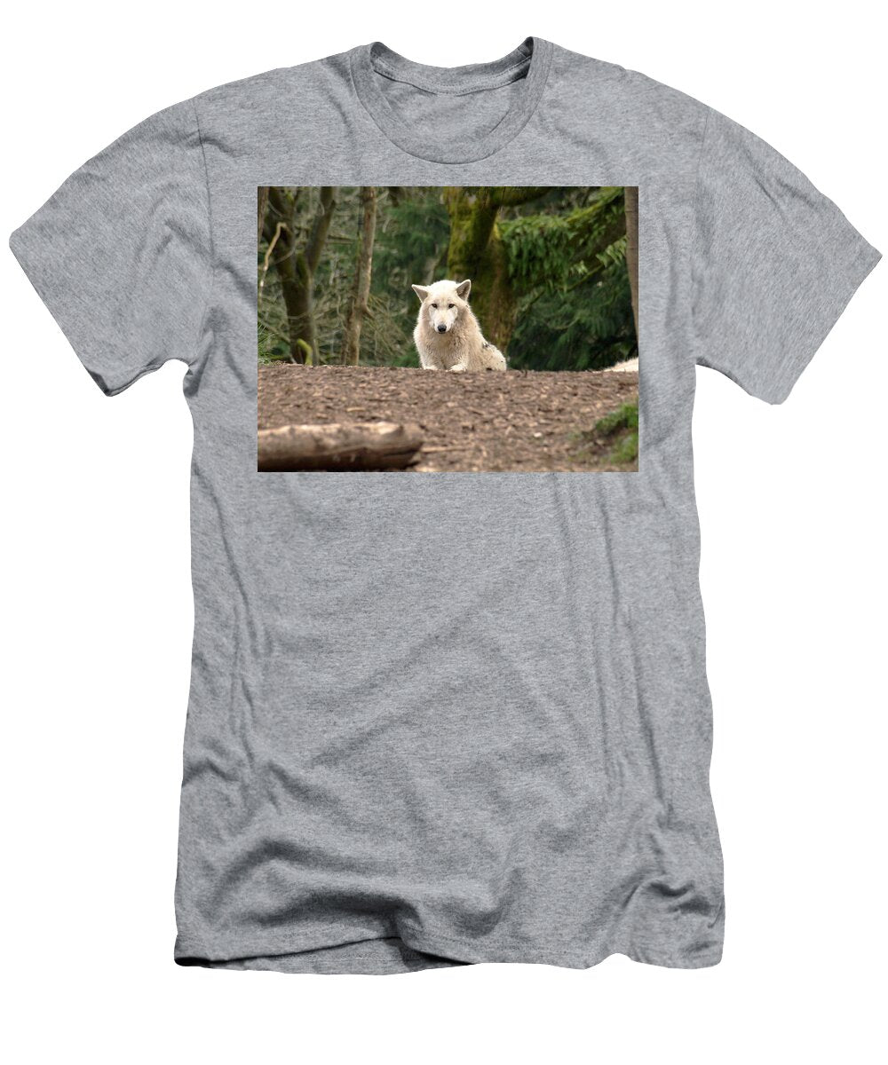 White Wolf Laying on Forest Floor with Awkward Look Jessica Foster T-Shirt
