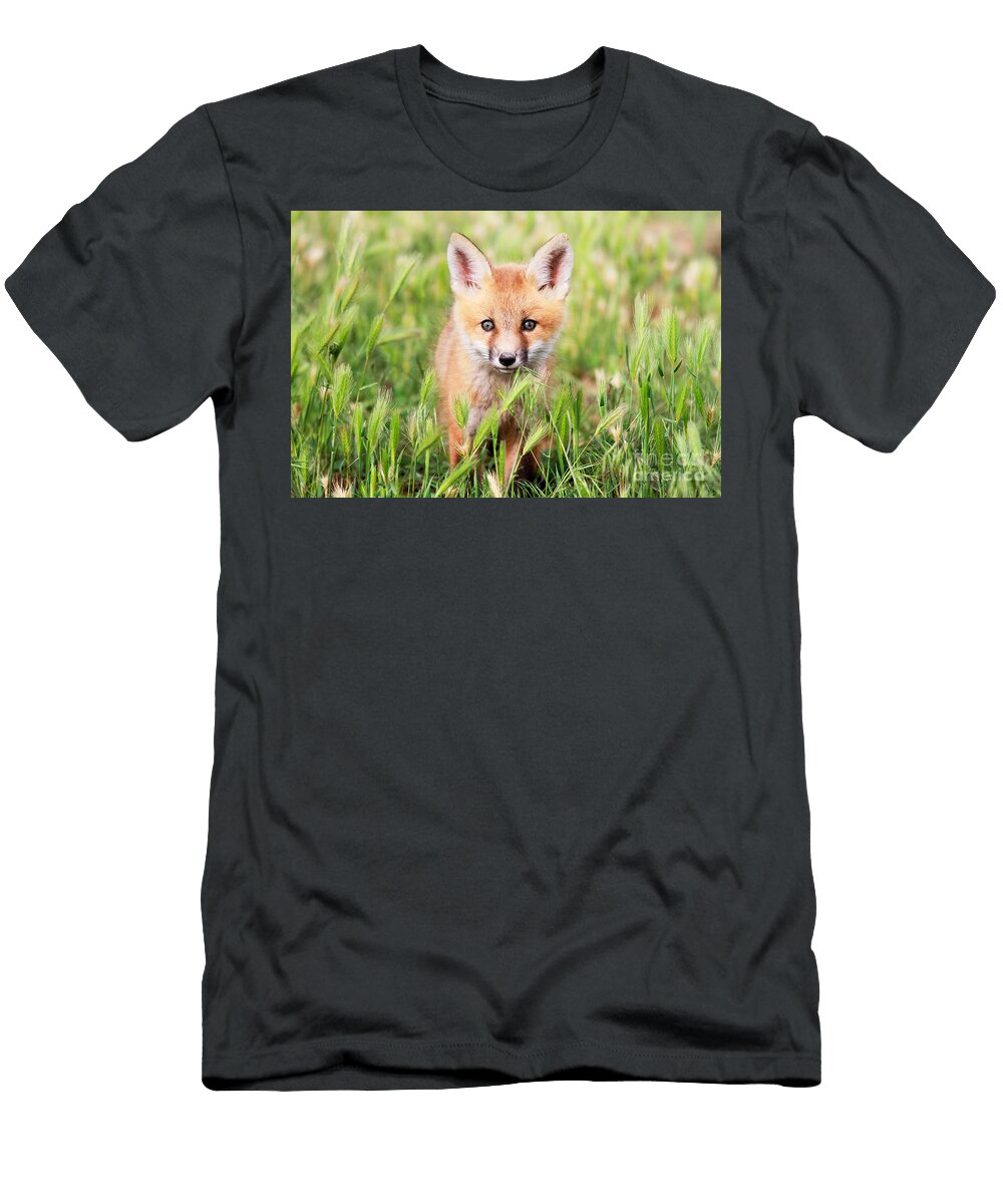 Who Me Julie Argyle T-Shirt