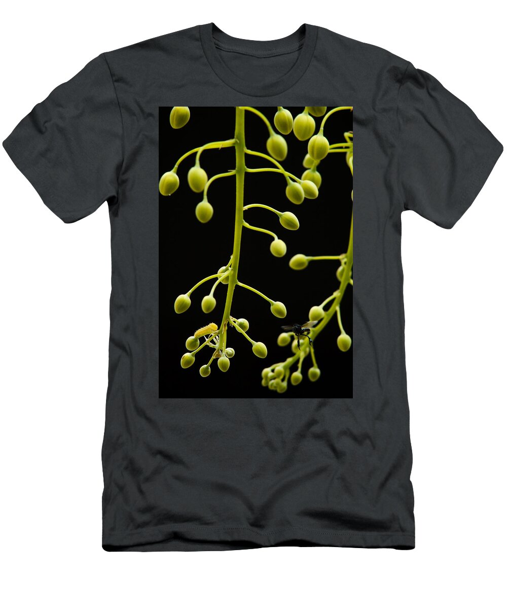 Wild Encounter Mario Morales Rubi T-Shirt