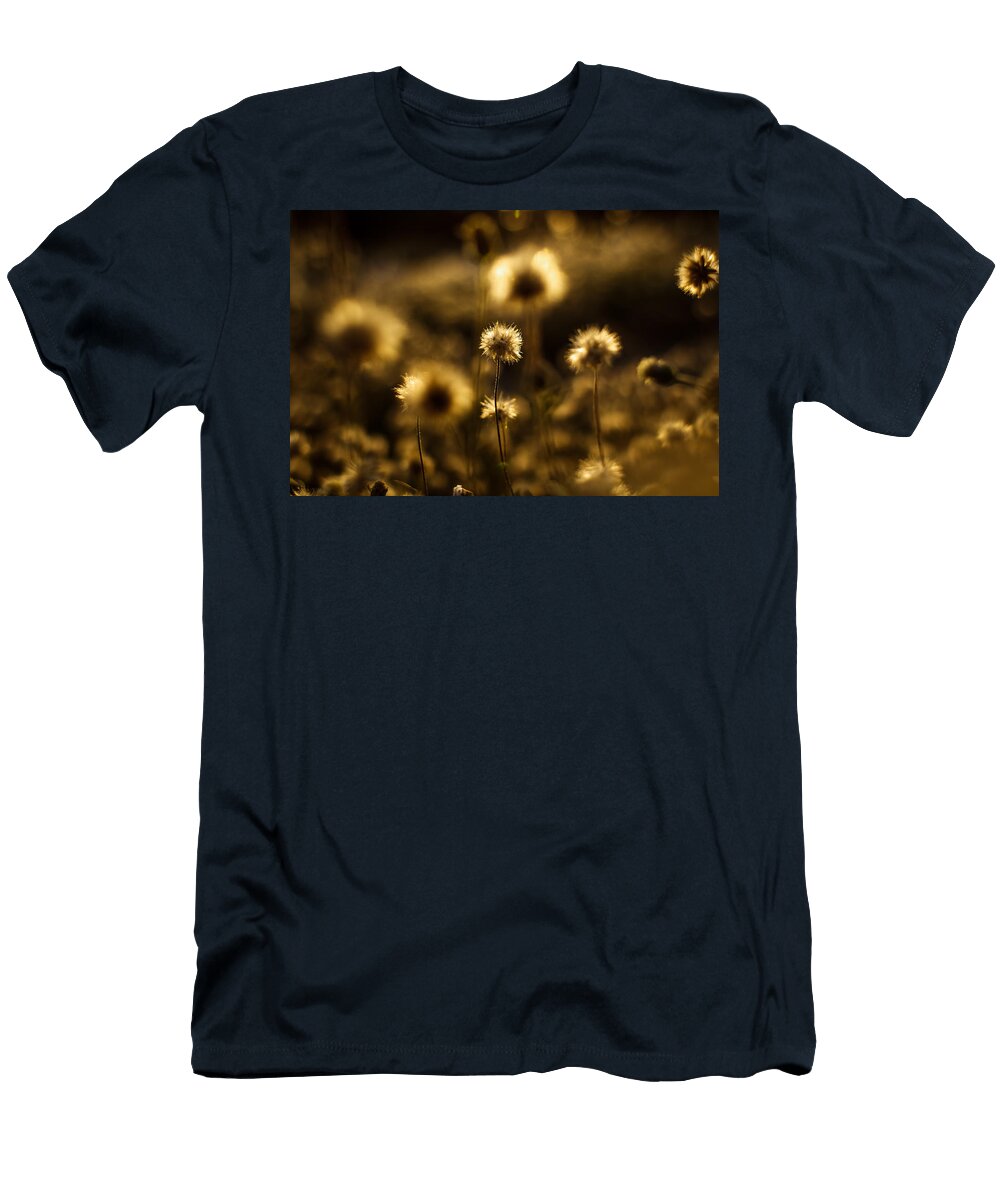 Wild Like Silence Mario Morales Rubi T-Shirt