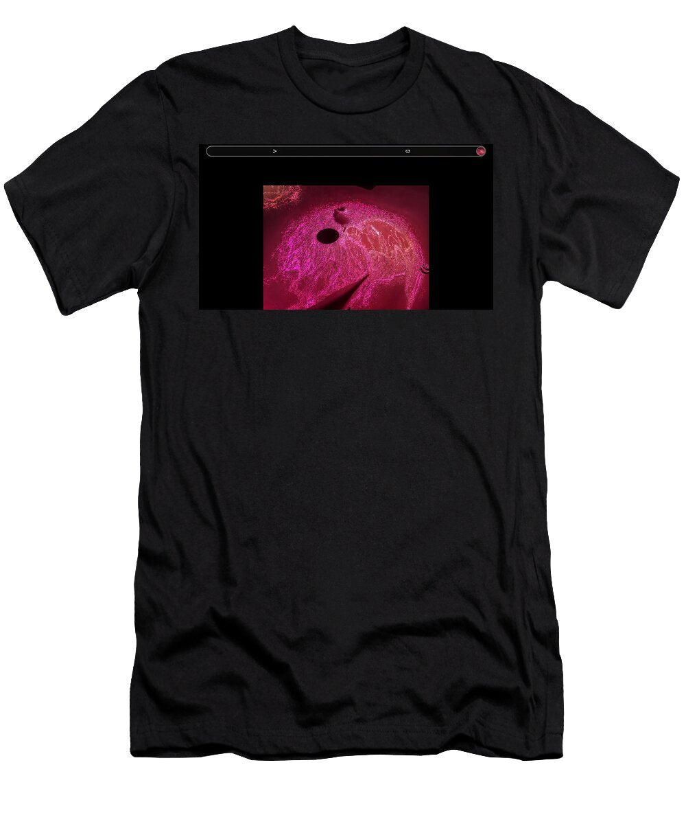 Wild Side Andy Huber T-Shirt