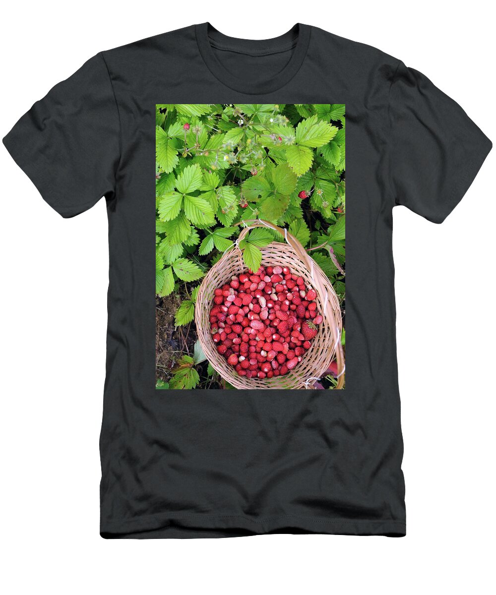 Wild Strawberries in a Basket Between Wild Strawberry Plants Mario Matassa T-Shirt