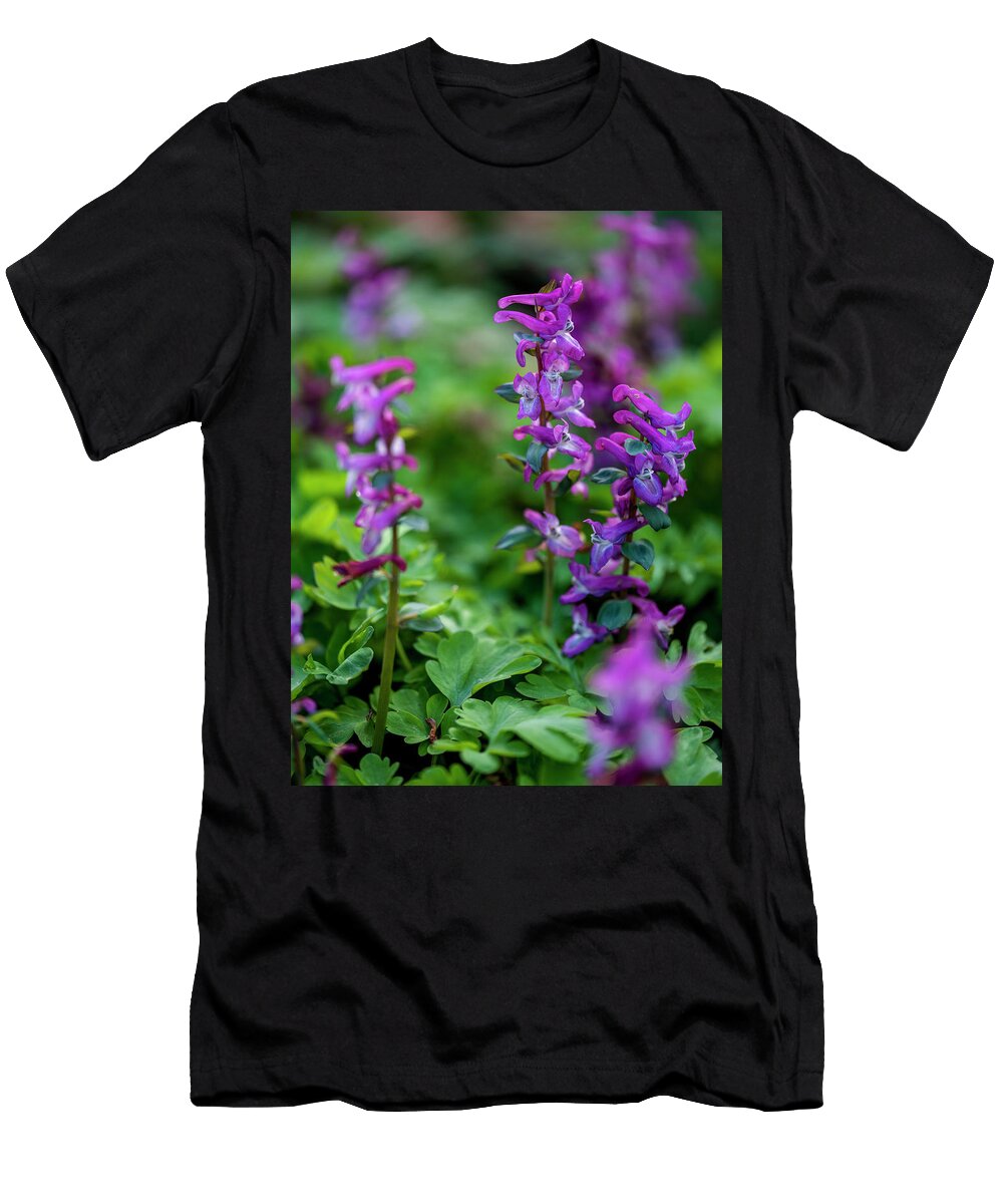 Wild Violet Orchids Nailia Schwarz T-Shirt