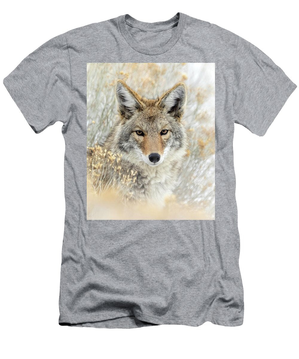 Wile E Coyote Julie Argyle T-Shirt