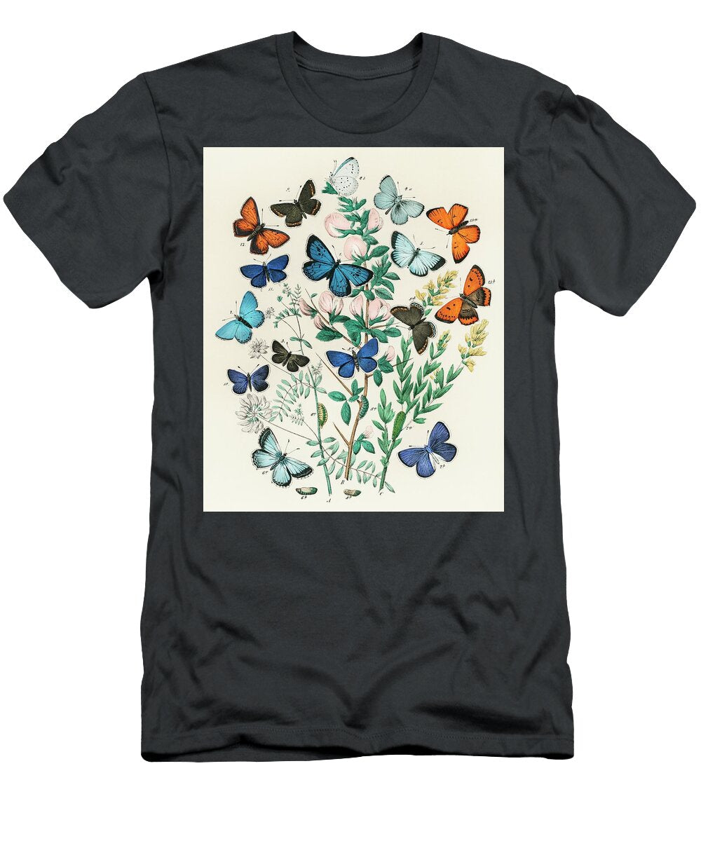 William Forsell Kirby Illustrations From the Book European Butterflies and Moths 1882 William Forsell Kirby T-Shirt
