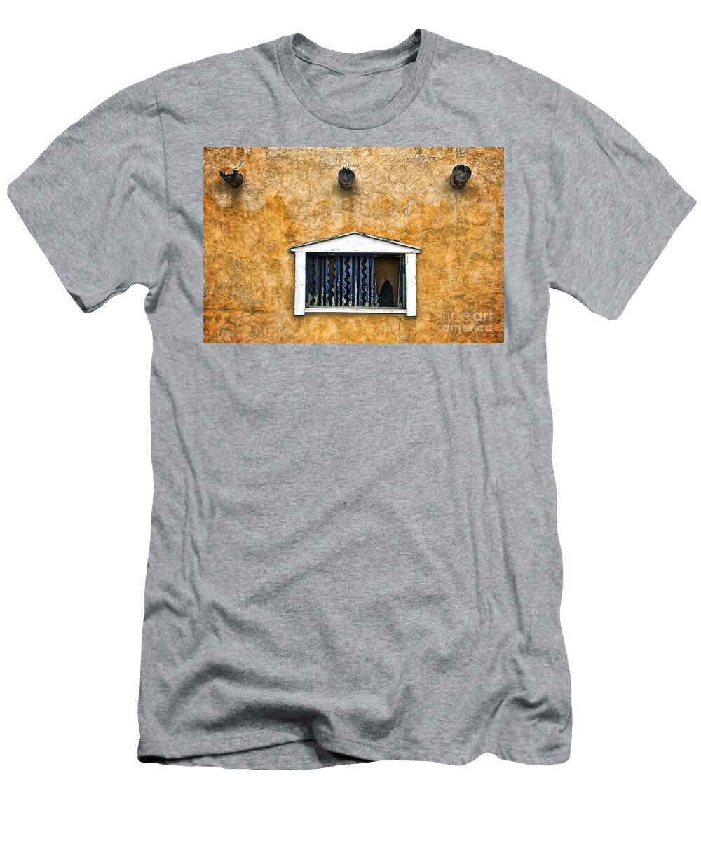 Windows Ii Ray Laskowitz T-Shirt
