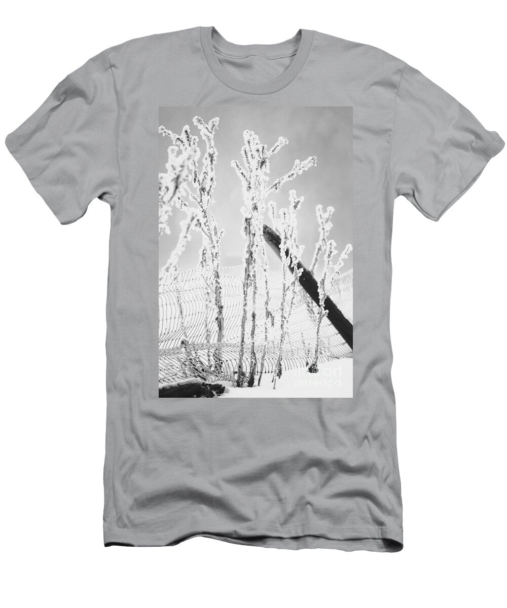 Winter 1 Julie Argyle T-Shirt