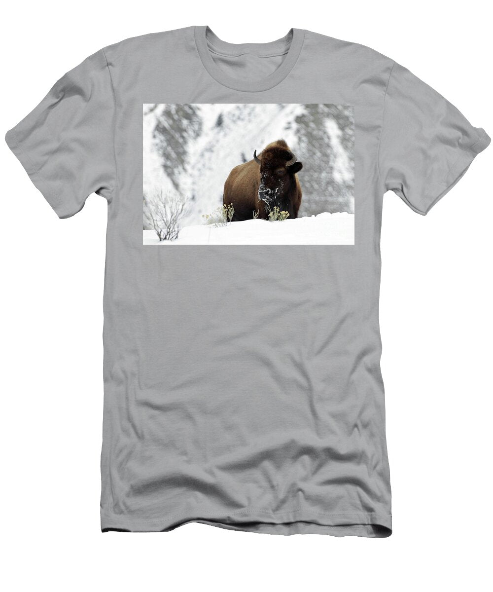 Winter Bison Julie Argyle T-Shirt