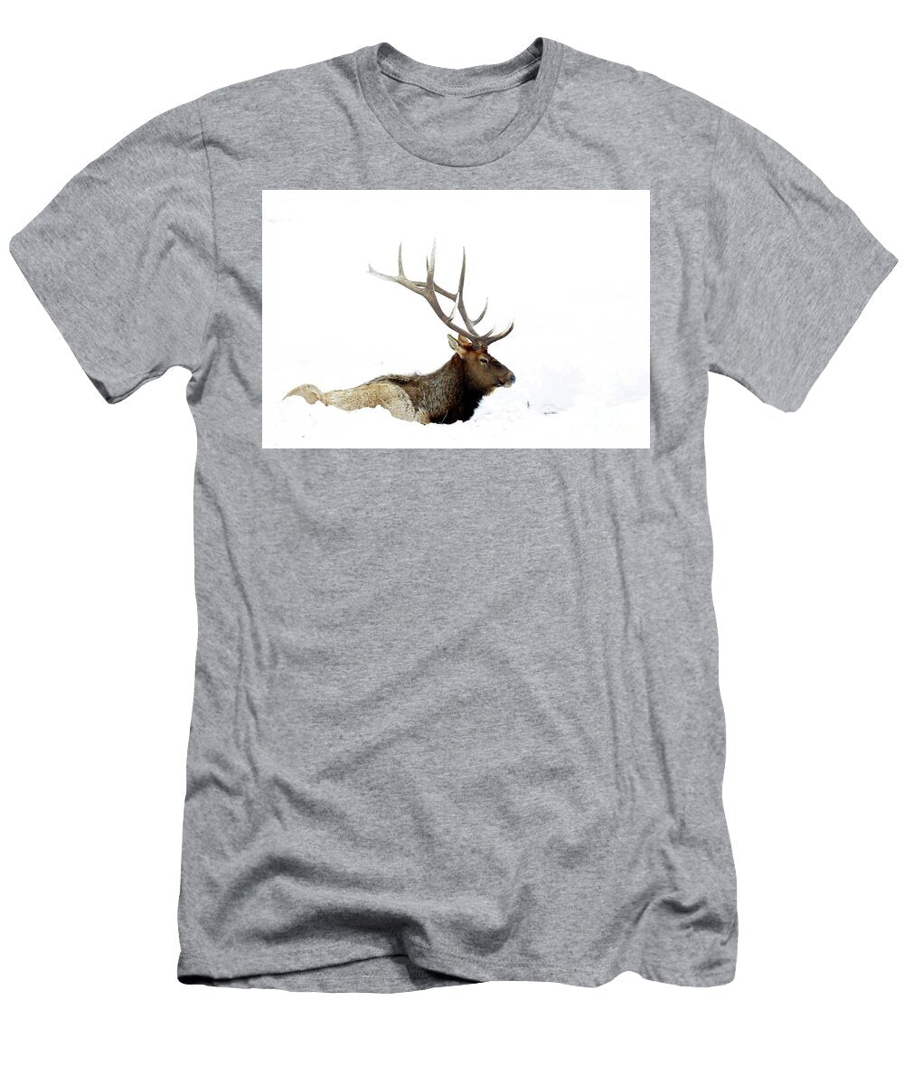Winter Elk Julie Argyle T-Shirt
