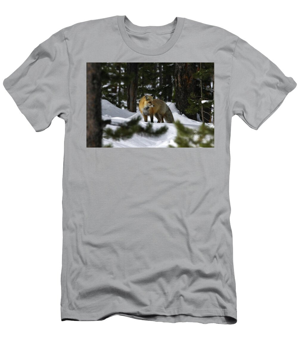 Winter Fox Julie Argyle T-Shirt