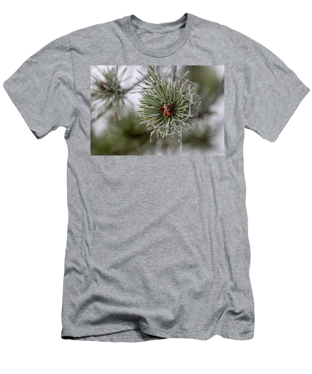 Winter Pine Julie Argyle T-Shirt