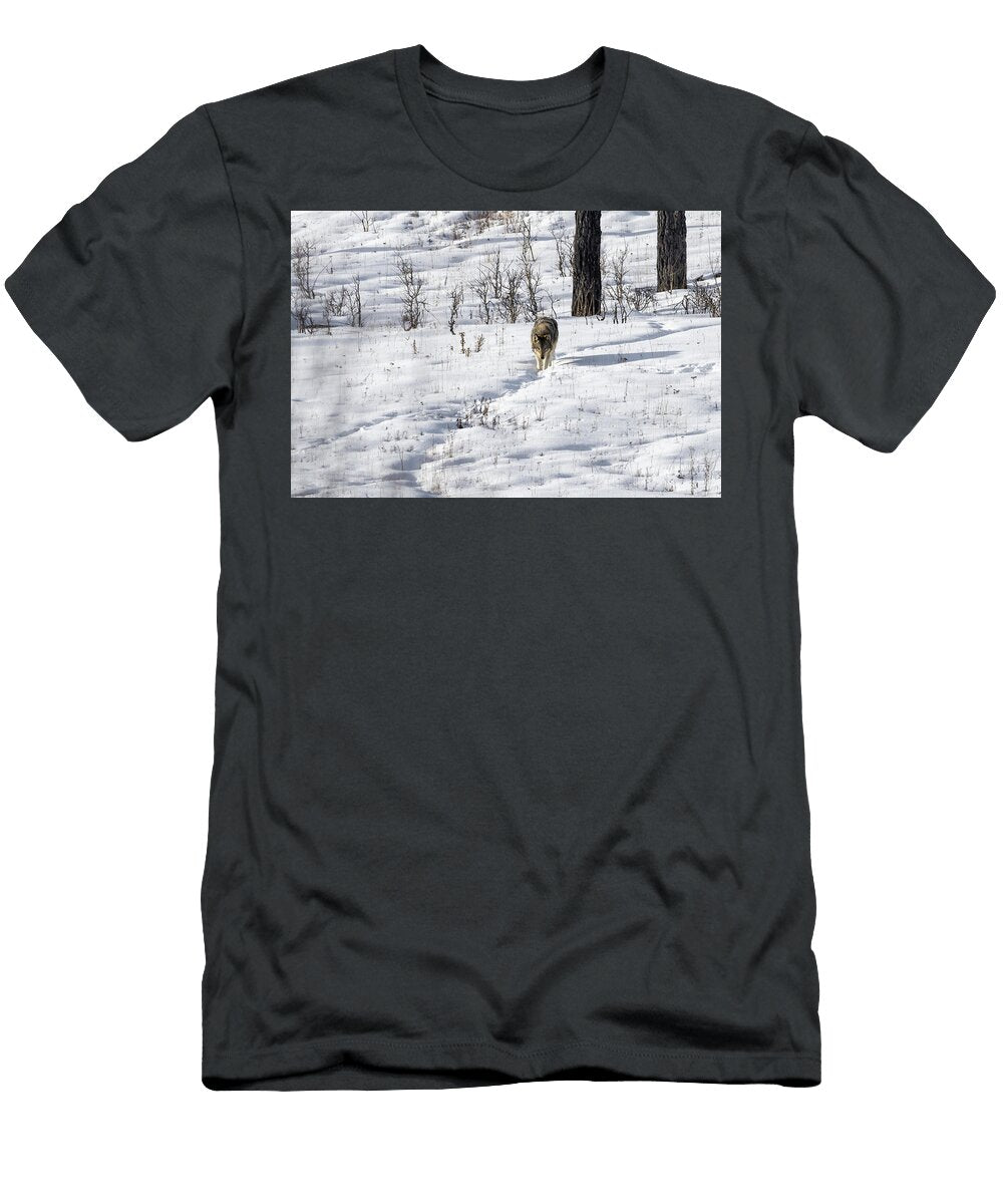 Winter Trail Julie Argyle T-Shirt