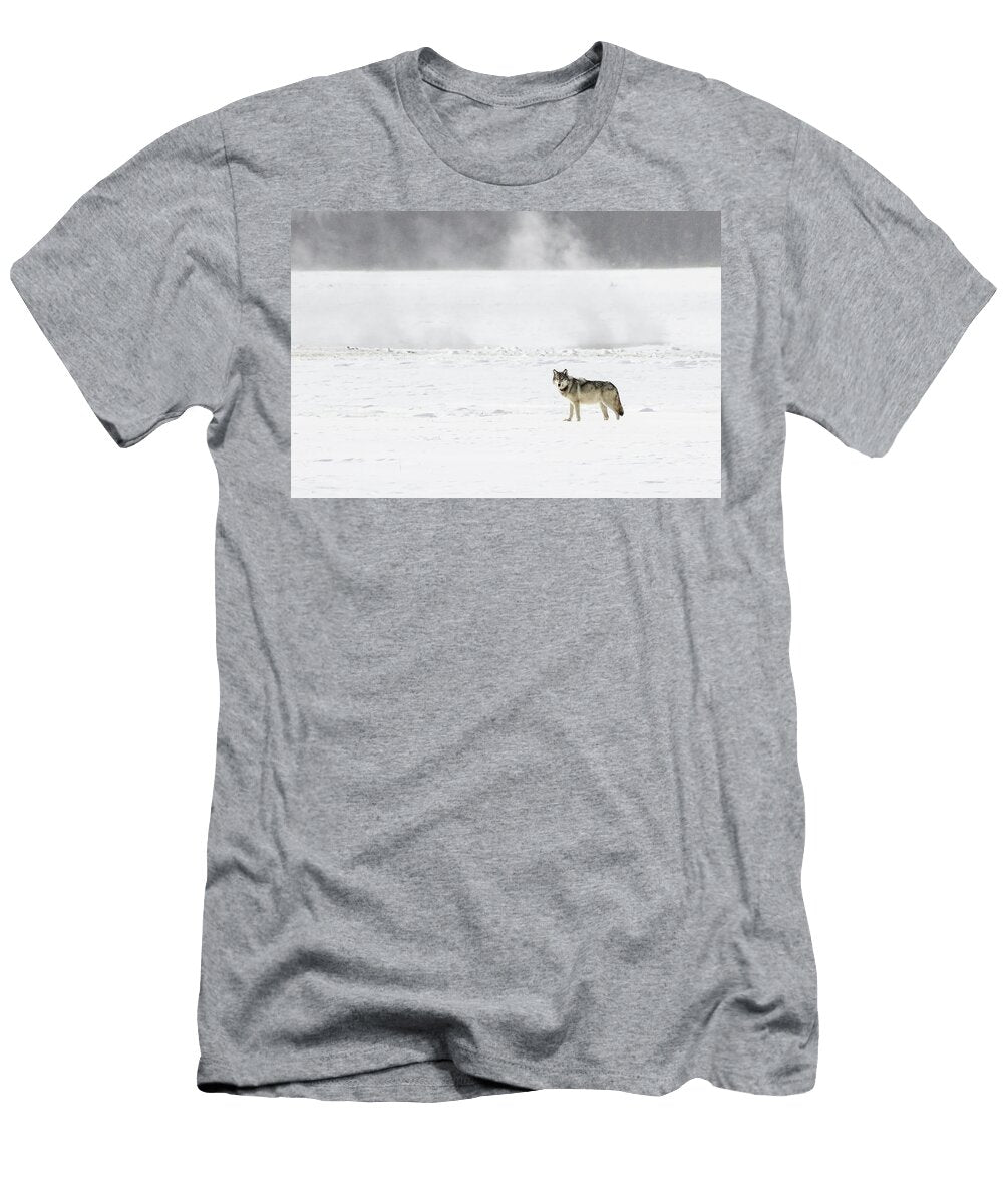 Winter Wolf Julie Argyle T-Shirt