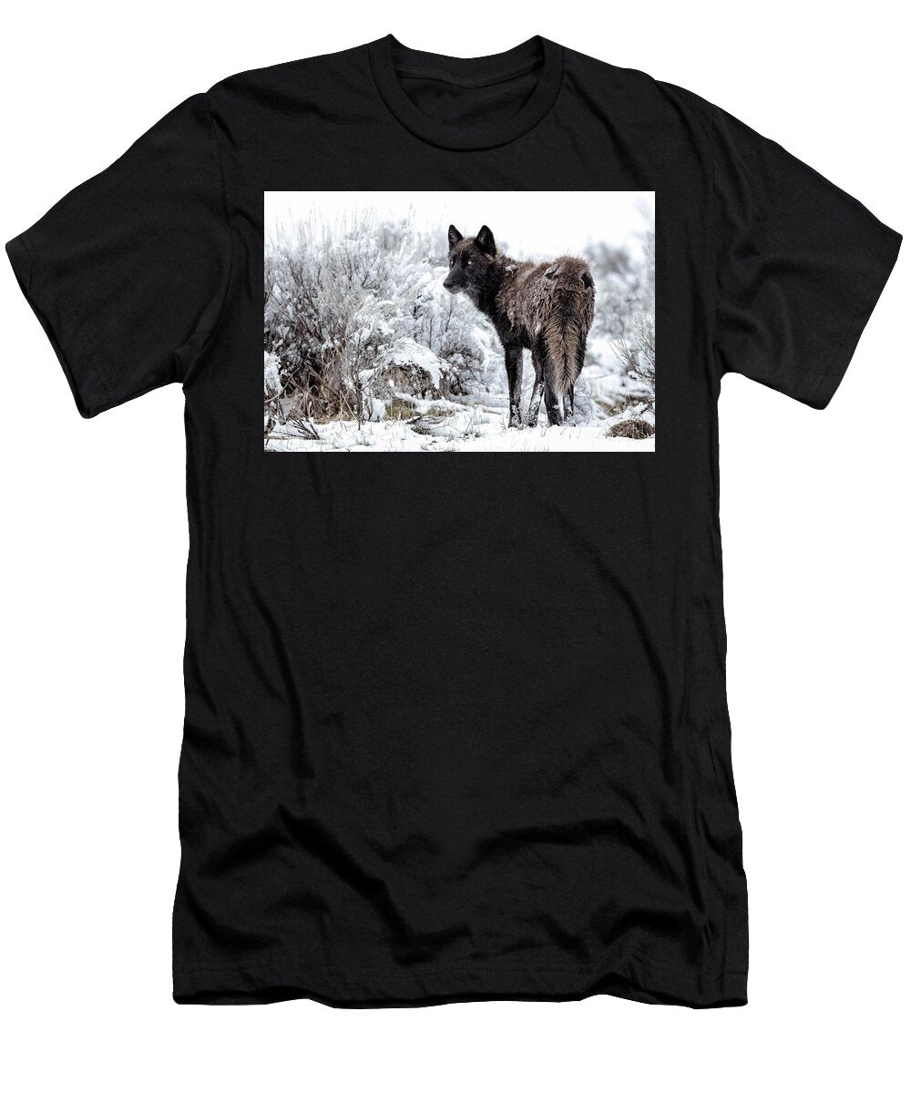 Winters Crossing Julie Argyle T-Shirt
