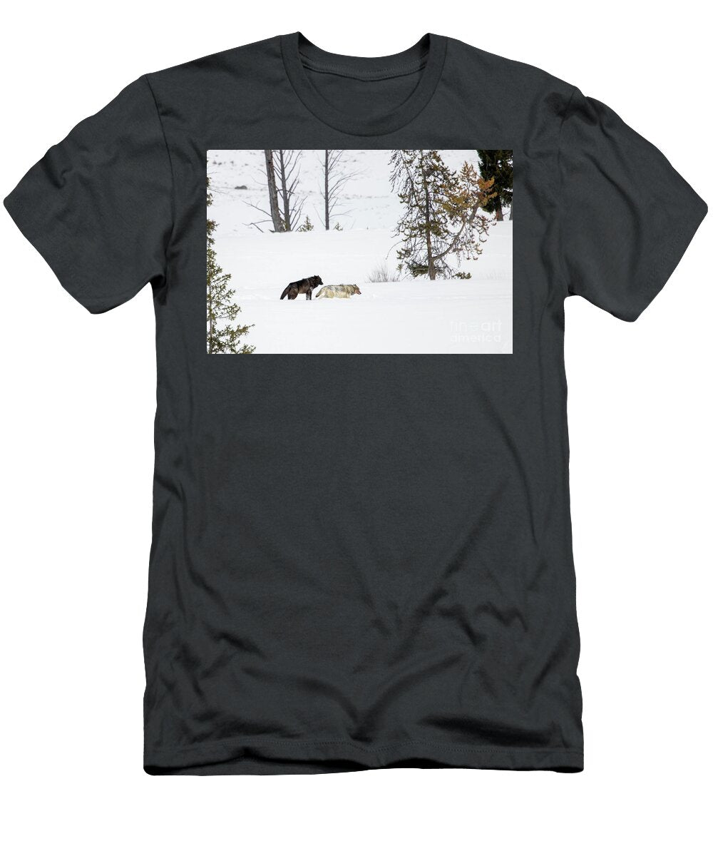 Winters Love Julie Argyle T-Shirt