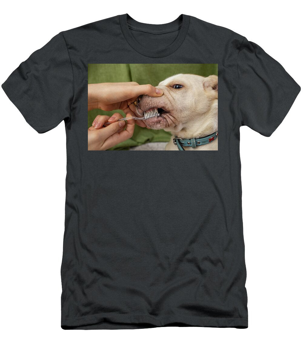 Woman Hands Brushing a Dogs Teeth Soft Focus Close Up Dorin Puha T-Shirt
