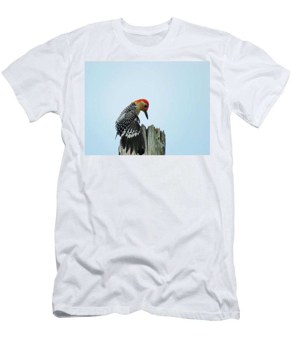 Woodpecker At Work Mario Carta T-Shirt