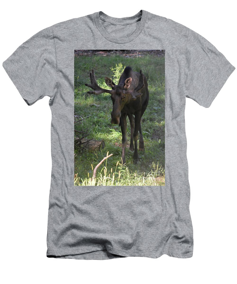 Young and Awkward Moose Walking in a Field Dejavu Designs T-Shirt
