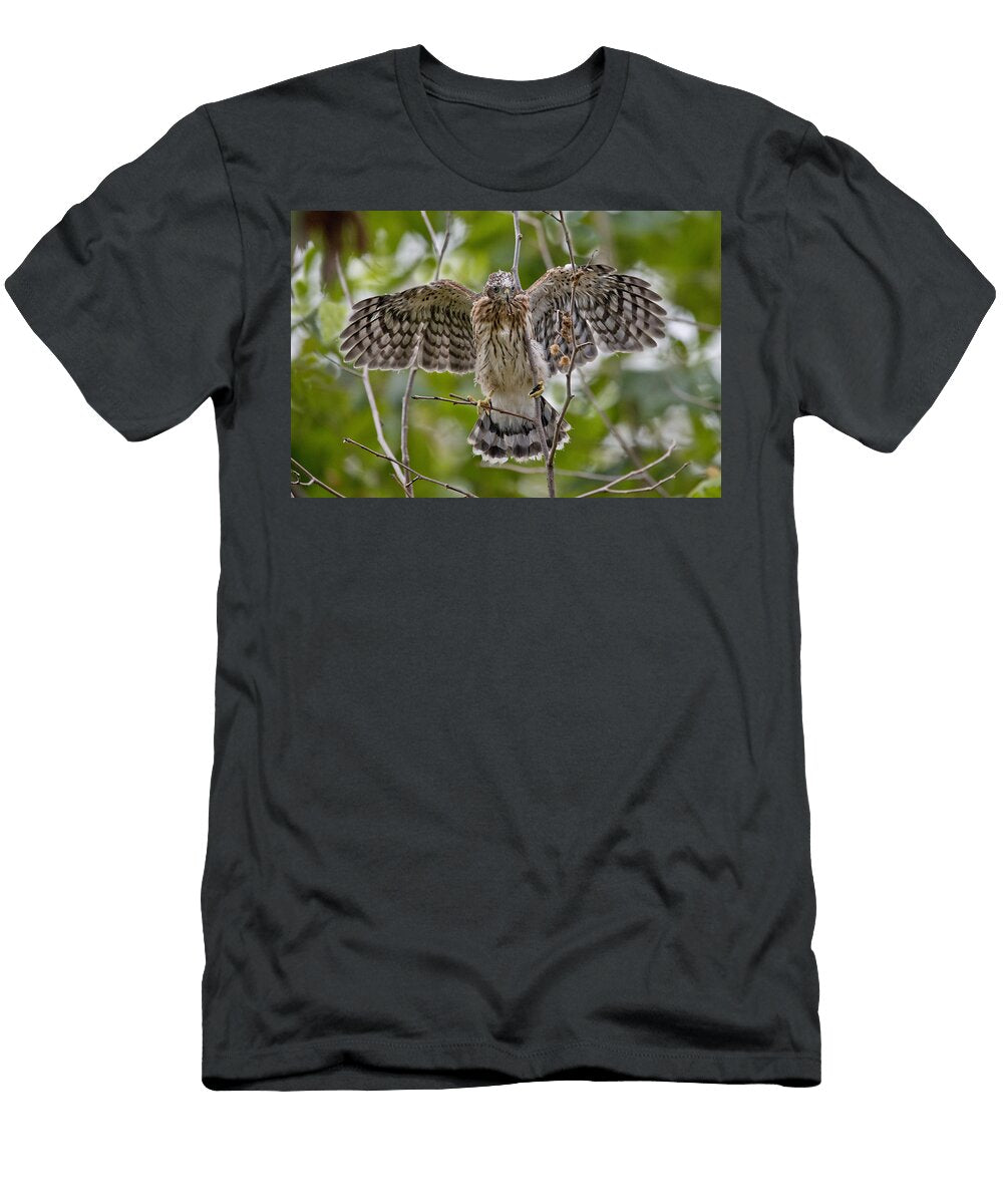 Young Coopers Hawk Anthony Mercieca T-Shirt