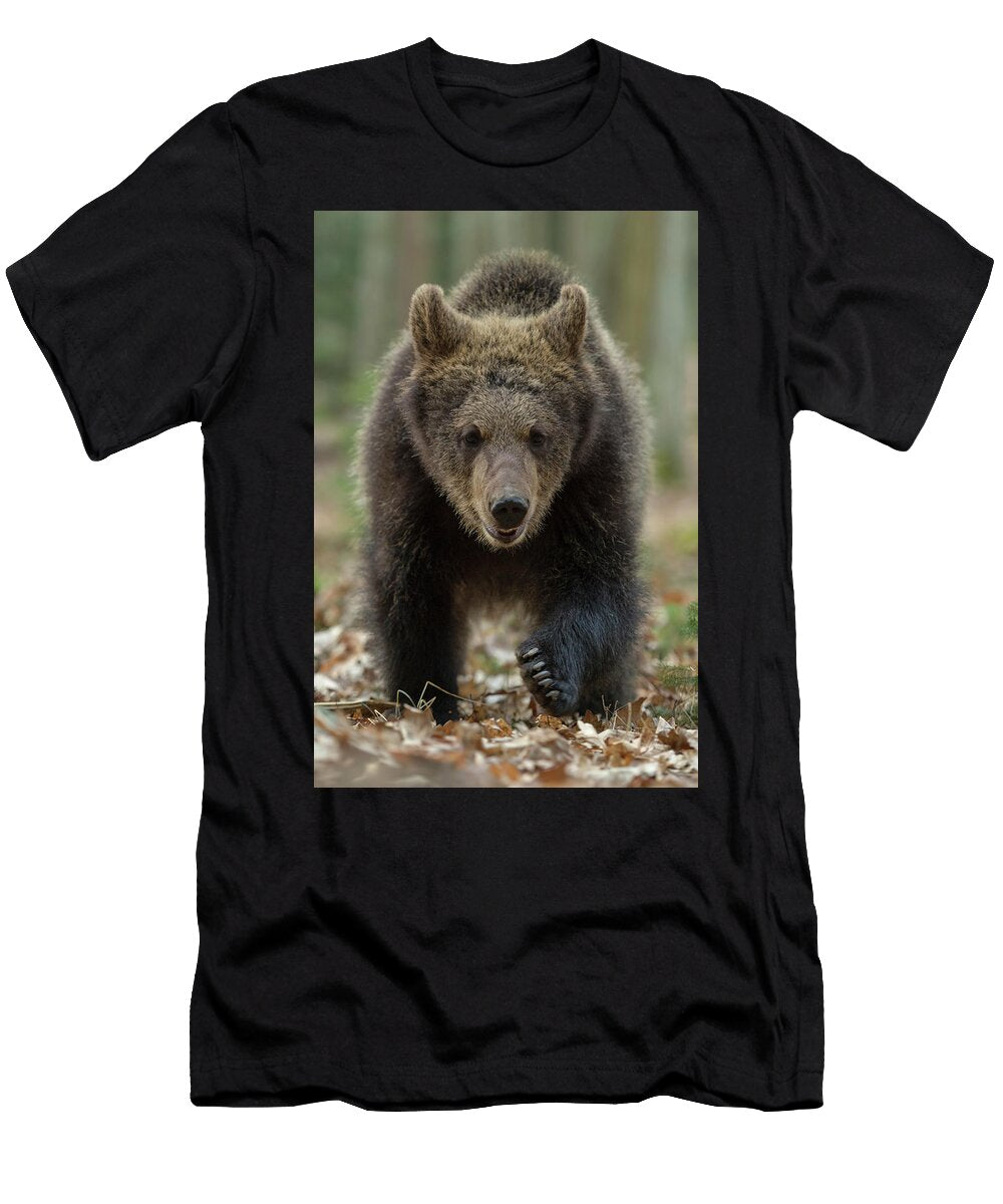 Young Cub Brown Bear Frontal Shot Wonderfulearth T-Shirt