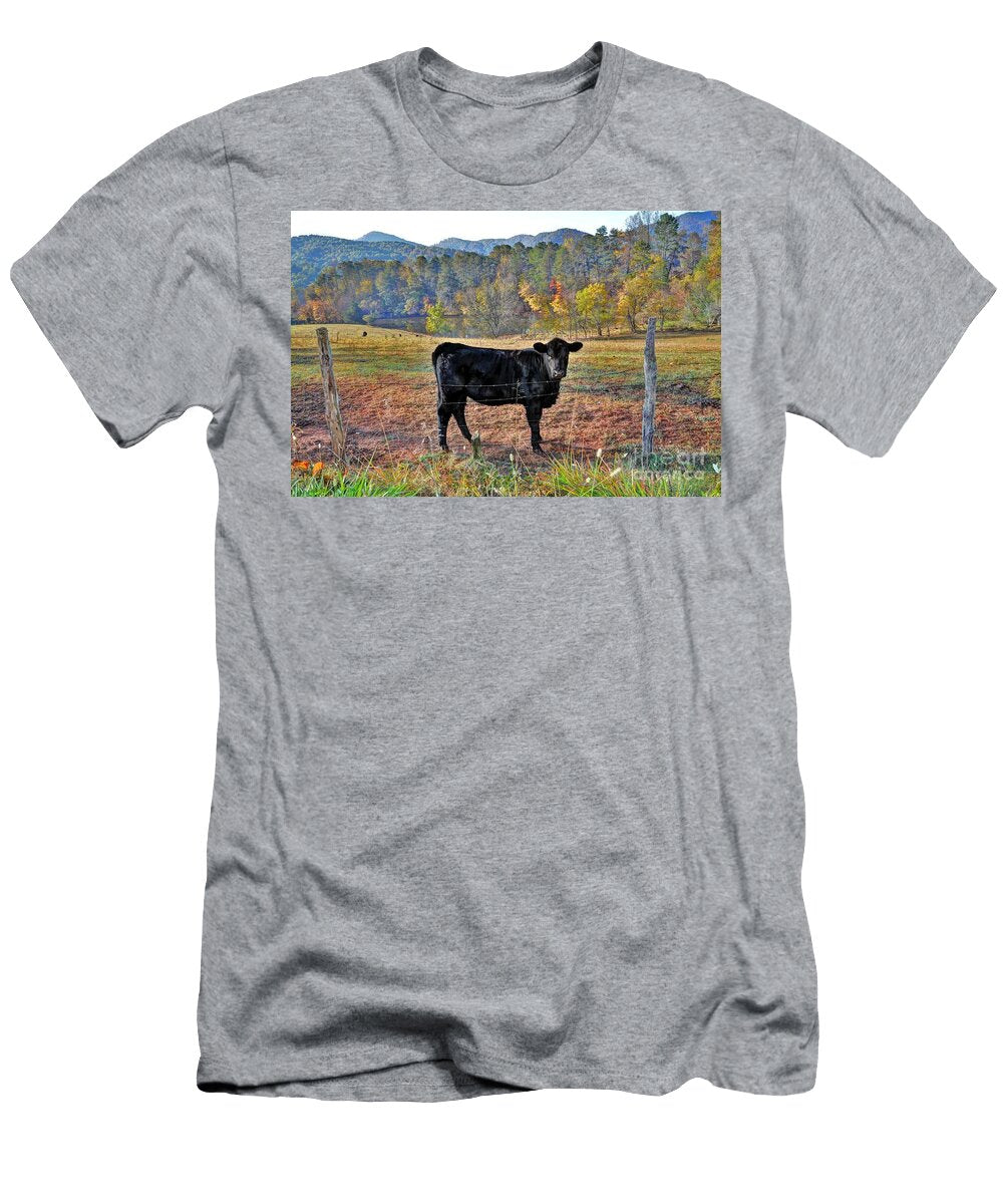 Young Curious Calf Savannah Gibbs T-Shirt