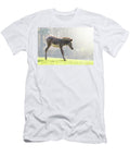 Zebra Foal in Morning Sunlight Jane Rix T-Shirt