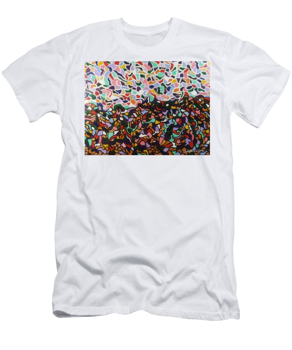 Zeldas Conundrum Christopher W Cook T-Shirt